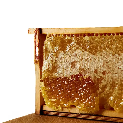 Honey's Raw Honeycomb